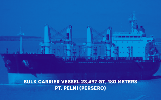 3 BULK CARIER